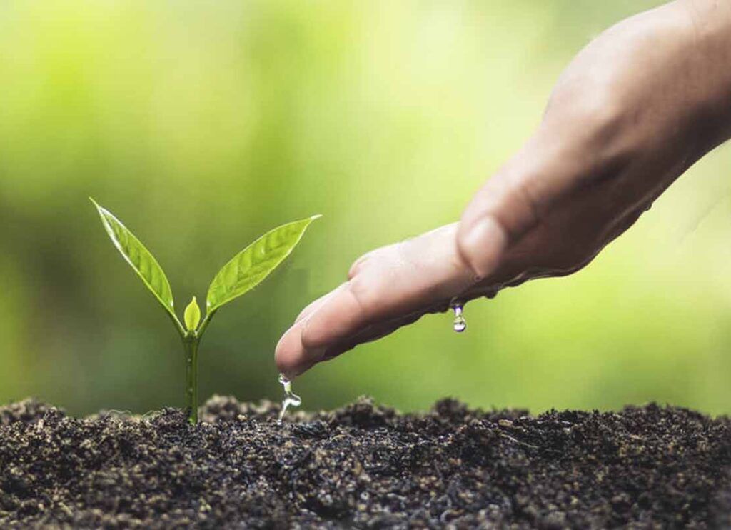 Dona la benvinguda a la primavera creant un Parc de les Olors a casa teva! Un dia al Parc dedicat a la jardineria on plantarem, sembrarem , farem esqueixos i aprendrem a dissenyar un jardí sostenible que sigui bonic i comestible. 11h a 13h taller 13h a 14h visita guida als cultius 14h 16h Menú degustació