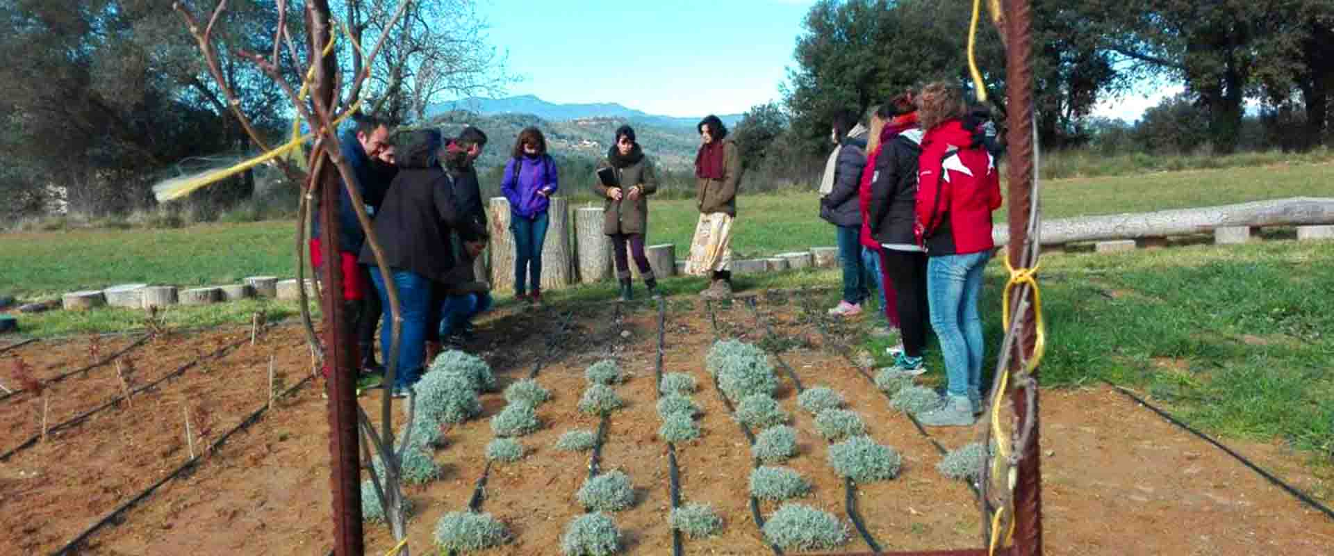 A cada regió hi podem trobar plantes típiques de la zona, segons el clima i l’altitud en que es trobi. A les Gavarres, hi podem trobar tant vegetació de rivera com mediterrània, per tant, la veritat de plantes que en forma part, és bastant àmplia. celra