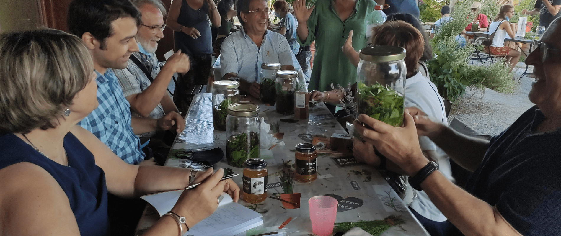 La festa de la ratafia, una oportunitat per aprendre les propietats de 40 plantes medicinals.