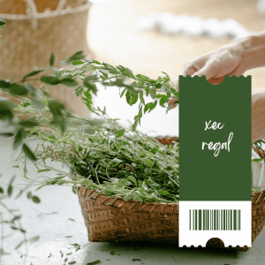 Xec regal Les herbes a la cuina (visita + taller)