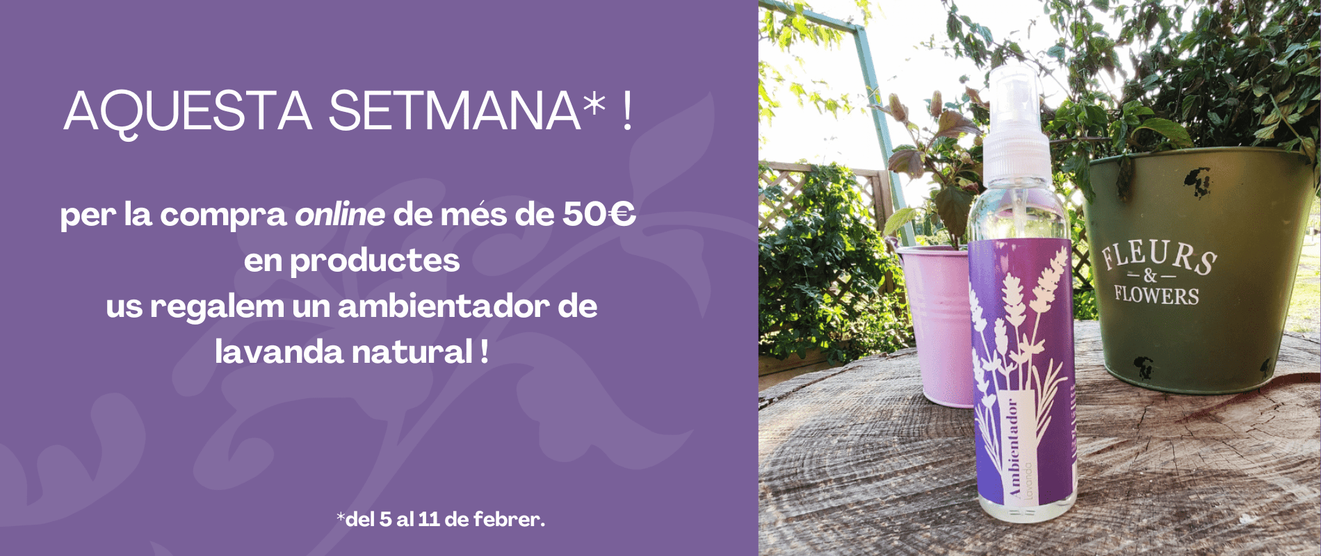 Cada any cultivem més camps de lavanda, de manera que en collim més i la podem utilitzar per més productes: oli essencial, cremes, sabó, hidrolat... i també l'ambientador de lavanda del Parc de les Olors, 100% natural i ecològic.
