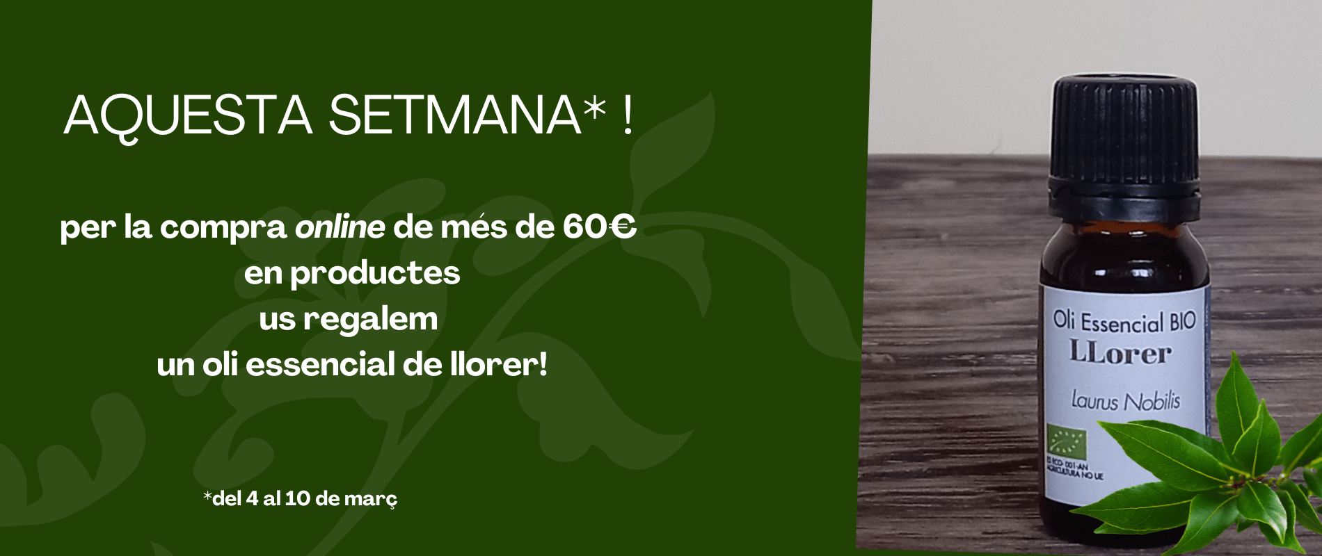 Quan fem referència a Juli Cèsar, tots ens l’imaginem amb la seva corona de llorer al cap, però sabeu perquè la duia? Per què era de llorer i no d’una altra planta?