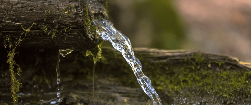 Des del 2021 que no havíem tingut una primavera amb pluges sovintejades i algunes ben abundants. Plou, però no n’hi ha prou per omplir de moment els freàtics. Encara tenim els pous estressats.
