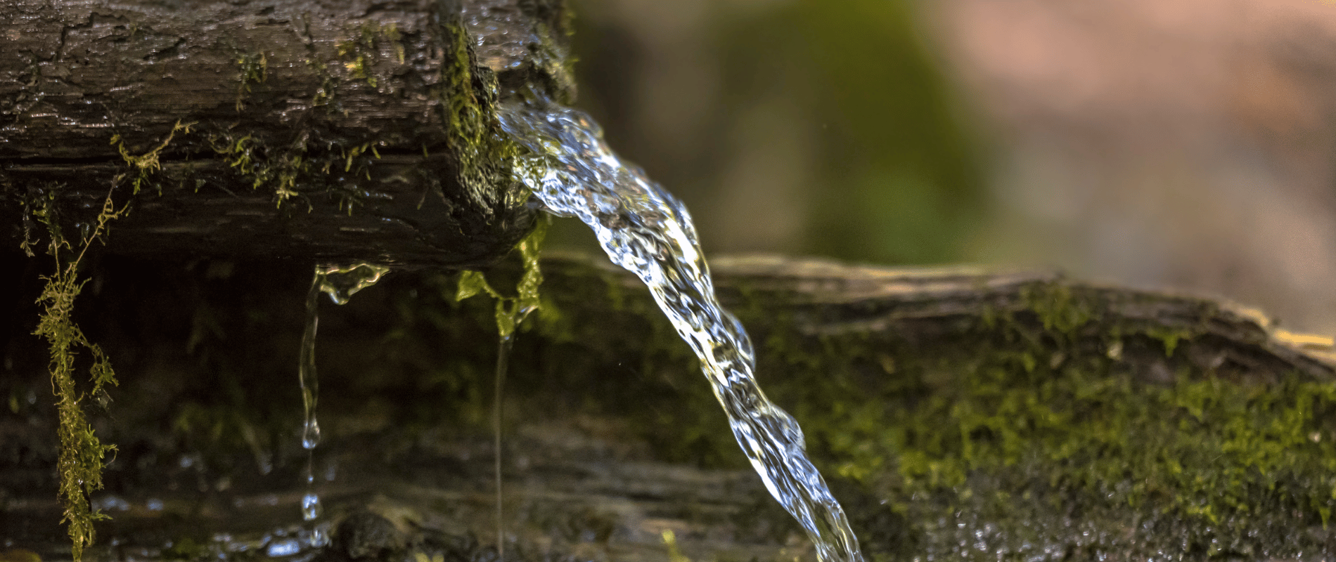 Des del 2021 que no havíem tingut una primavera amb pluges sovintejades i algunes ben abundants. Plou, però no n’hi ha prou per omplir de moment els freàtics. Encara tenim els pous estressats.