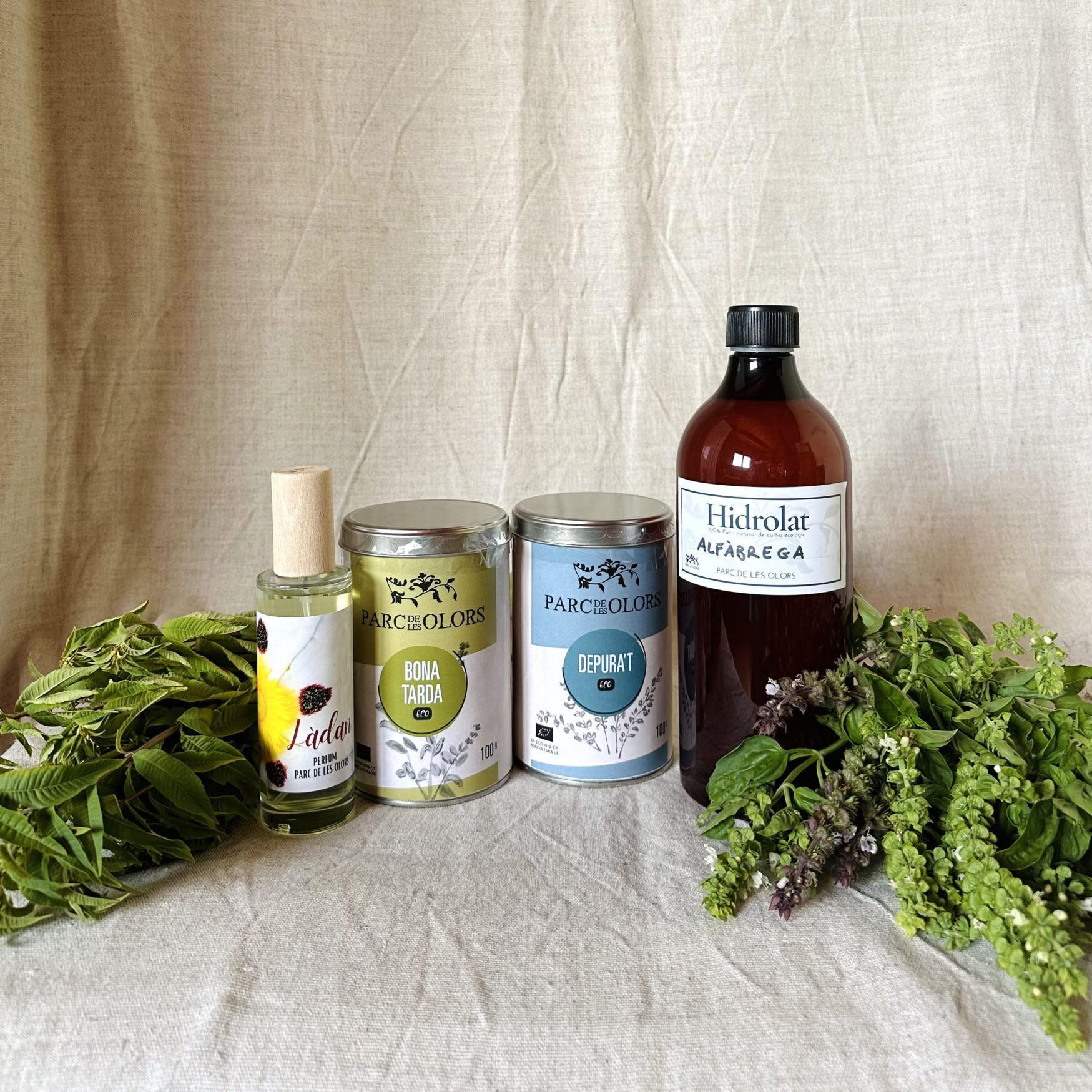 Pack Ocimum