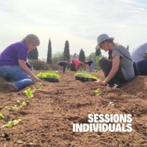 CURS Introducció al cultiu agroecològic de plantes aromàtiques i medicinals (PAM) 2026