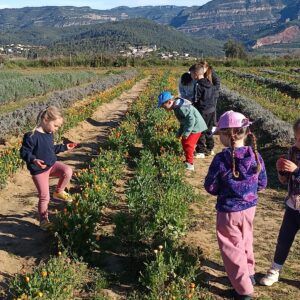 CASAL D'ESTIU 2026  - Exploradors del Parc de les Olors