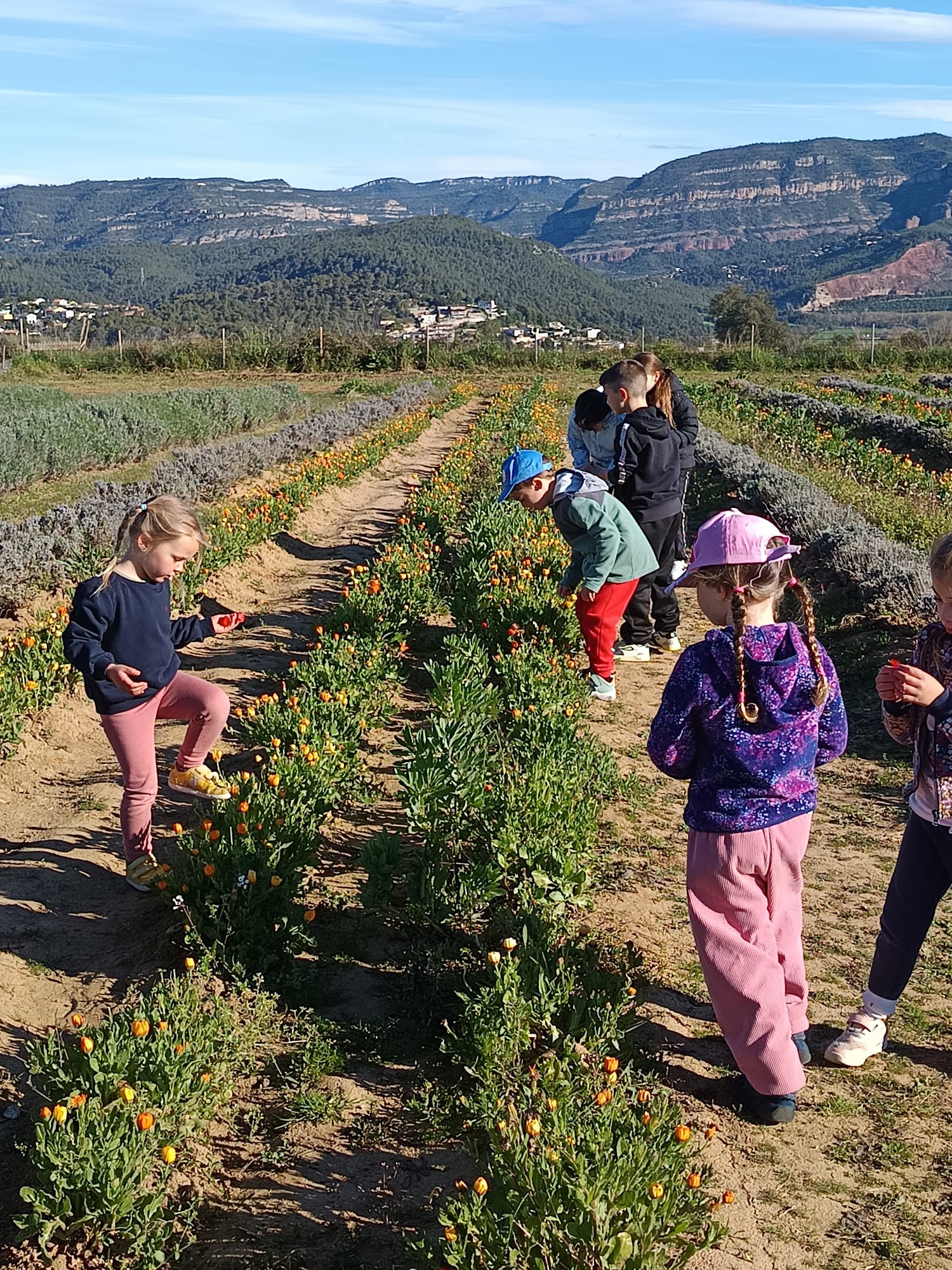CASAL D'ESTIU 2026 - Exploradors del Parc de les Olors